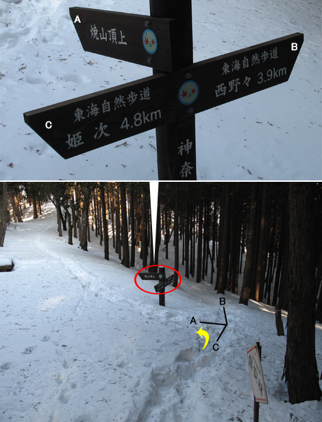 20180209hike (211)